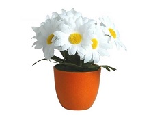 immagini/vaso.jpg