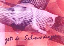 gatto (7K)