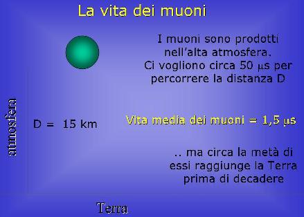 muoni (20K)